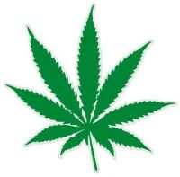 StickerJOE Marijuana 2" Leaf Weed Pot Smoker Legalize Sticker Decal Phone Small